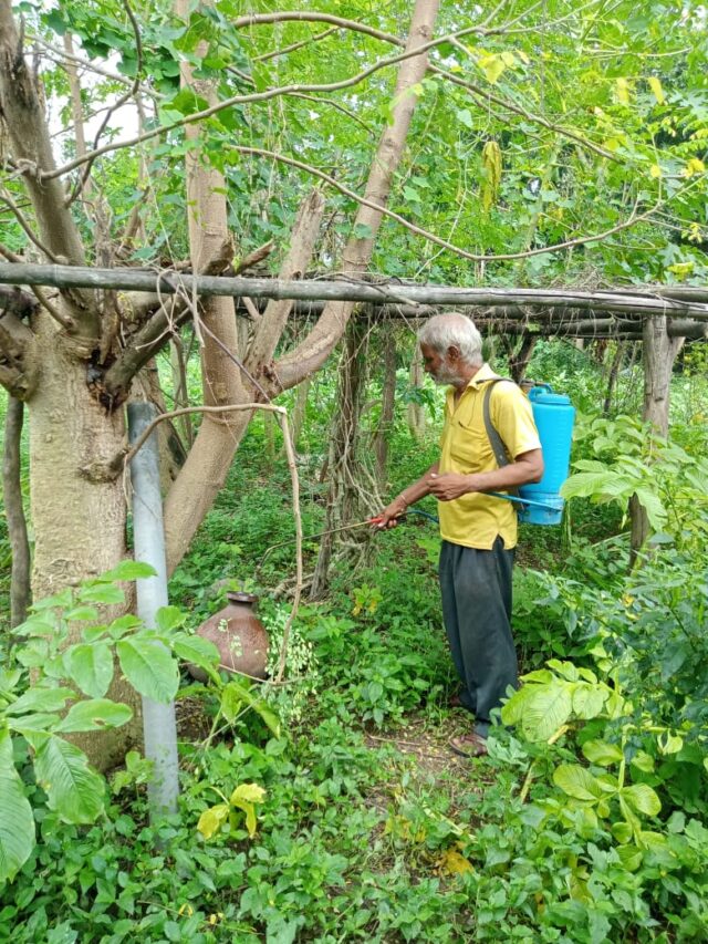 जमशेदपुर में डेंगू से एक और बच्ची की मौत