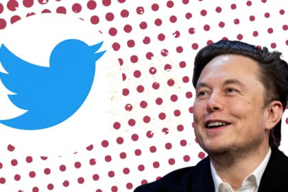 Twitter twitter news, Elon MUSK twitter News, Is the bird of Twitter about to fly Musk tweeted some such signs