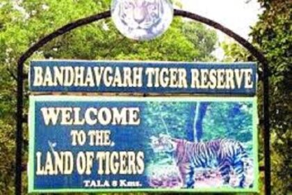 Bandhavgarh Tiger Reserve: MP के सबसे बड़े टाईगर रिजर्व में बाघ की मौत, जानिए कैसे हुई बाघ की मौत, इससे पहले कूनो में हो चुकी है 9 चीतों की मौत, शिक्षा, मध्य प्रदेश »
