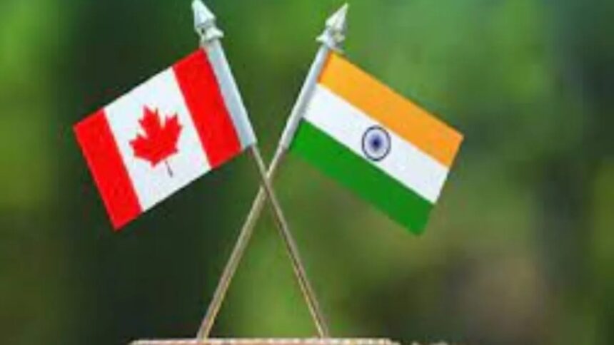 फर्जी ट्रैवल एजेंटों को लगाम लगाने के लिए कनाडा का बड़ा कदम, एजेंटों की होगी ग्रेडिंग, शिक्षा, CANADA, India, travel agent »