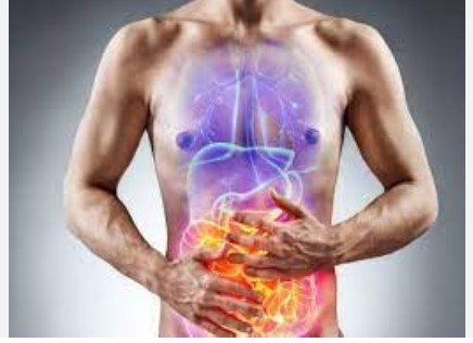 digestion