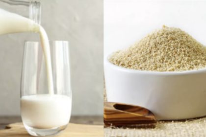 Benefits of Seed Milk