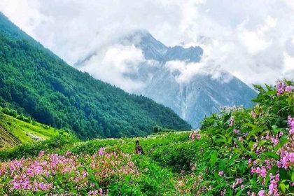 Amazing beauty of valley of flowers