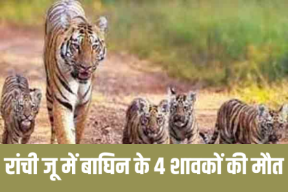 Ranchi Zoo