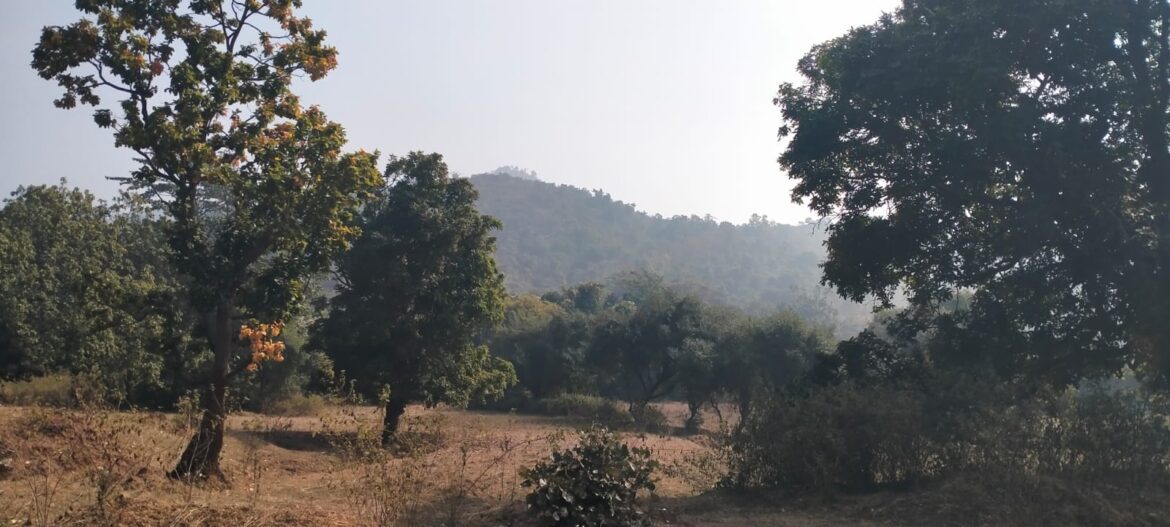 झारखंड में नक्सलियों से सुरक्षाबलों की मुठभेड़ में एक नक्सली ढेर