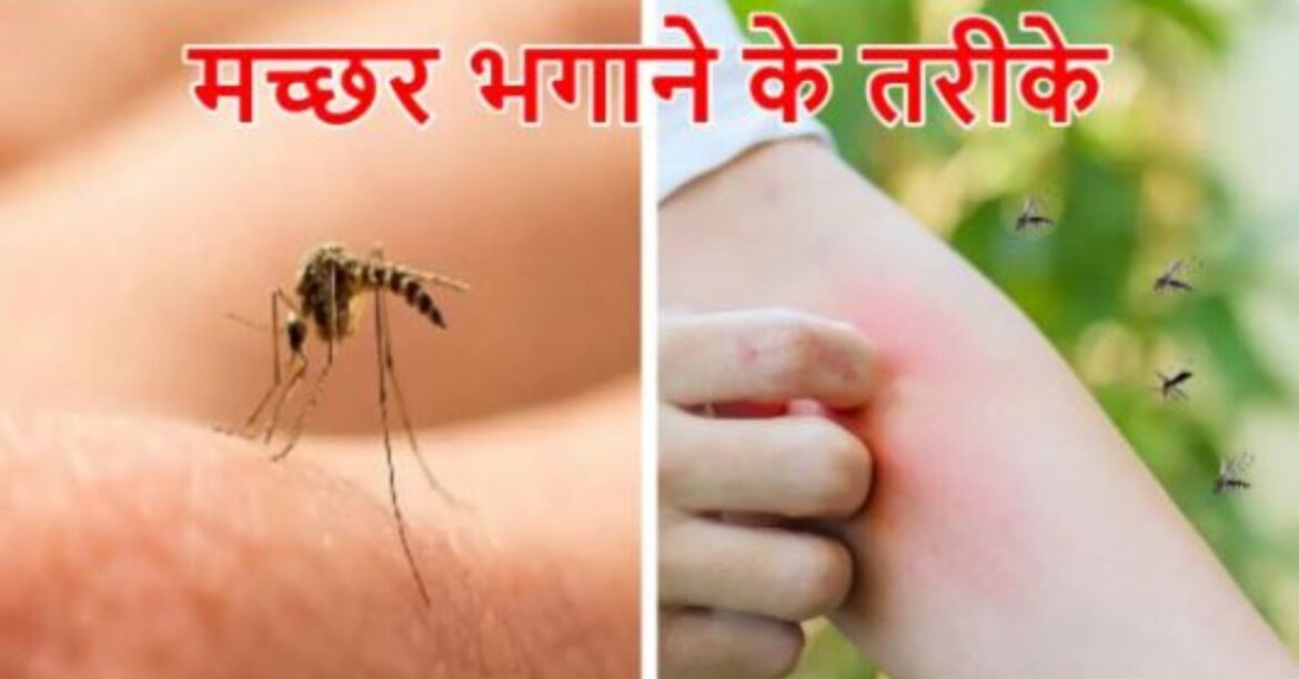 Mosquitoes menace monsoon