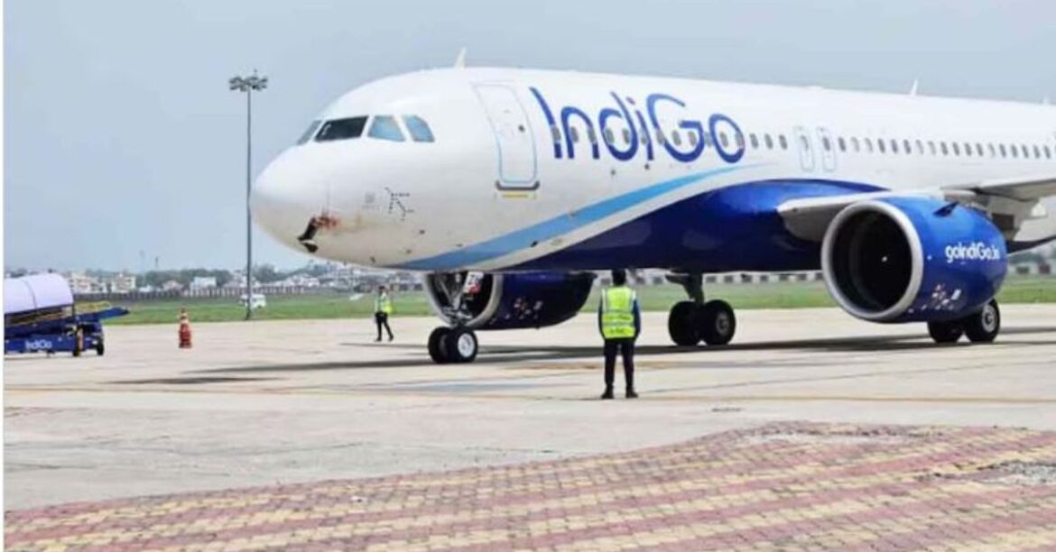 indigo-flight-news-