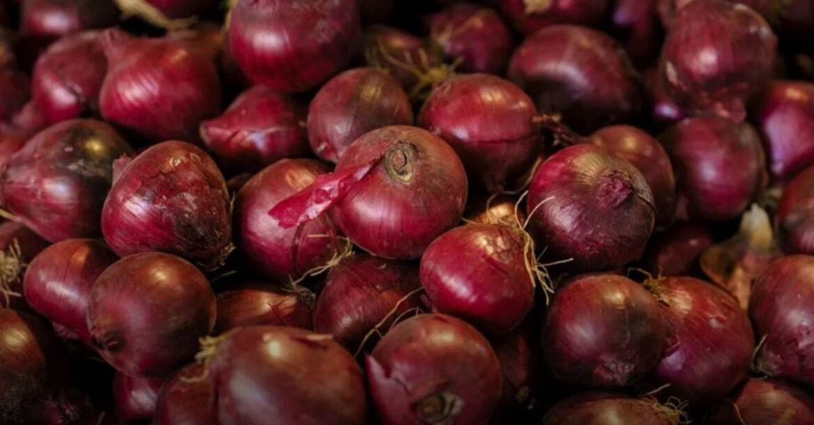 onion-prices-going-to-skyrocket-again-what-bad-news-has-come-from-maharashtra