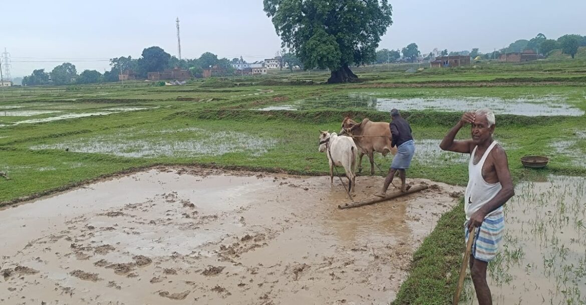 Sun entering Ardra Nakshatra with astrological symbols