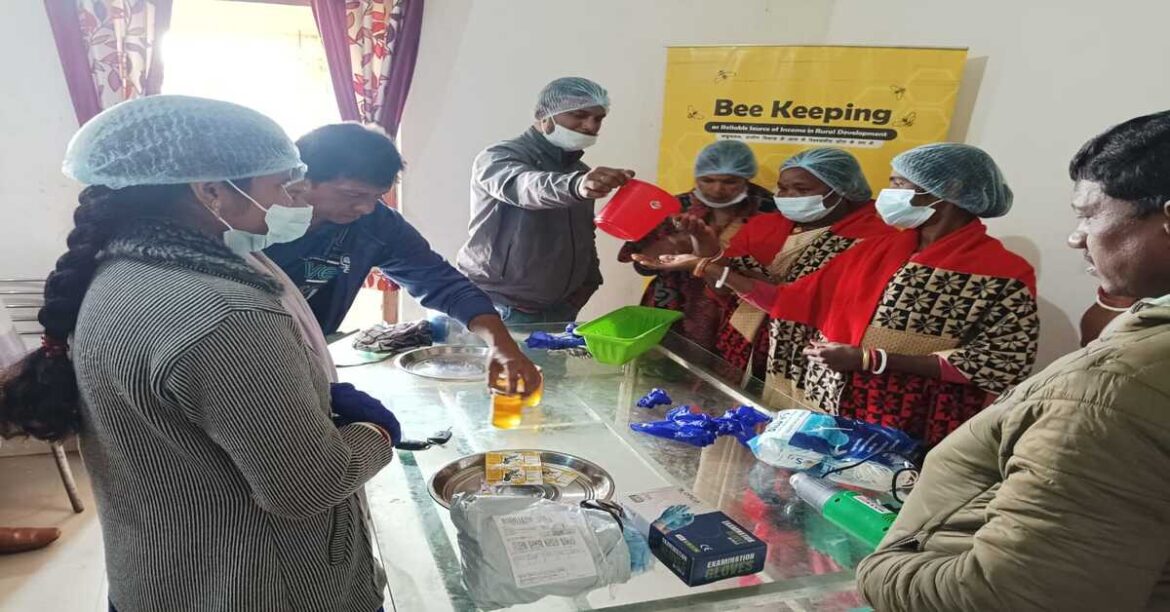 बोड़ा हनीबोड़ा हनी 12