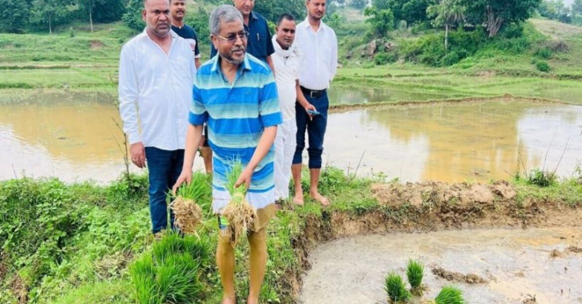 Babulal Marandi farming