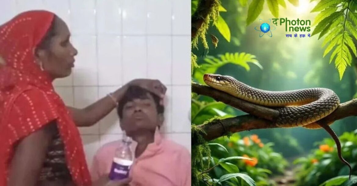 Drunk man eats snake Odisha