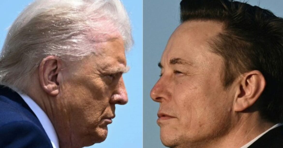 Elon- Musk -politics