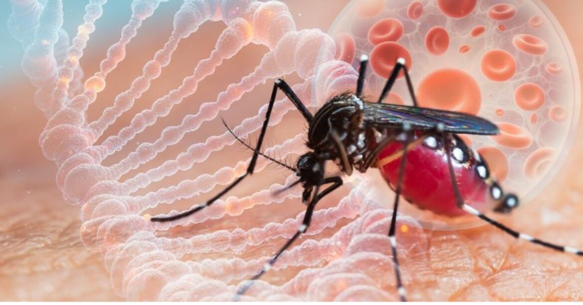 MGM Hospital Jamshedpur