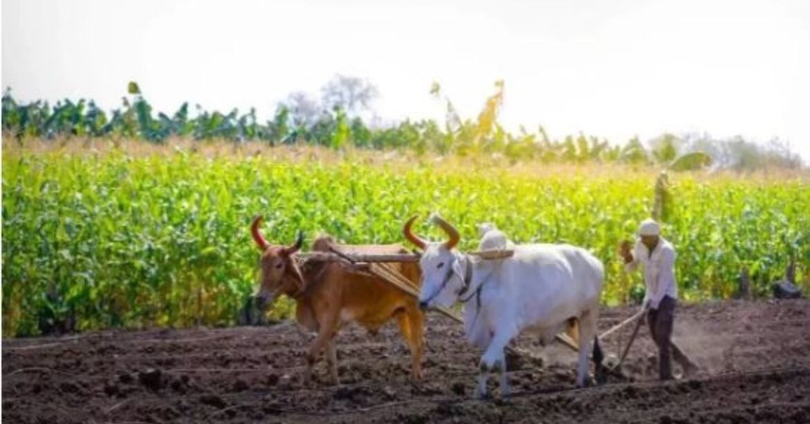 shivraj-singh-chauhan-announces-opening-of-crop-medicine-center-