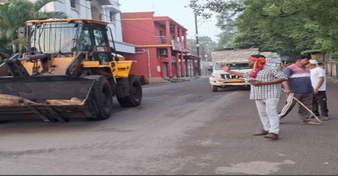 haldipokhar cows death
