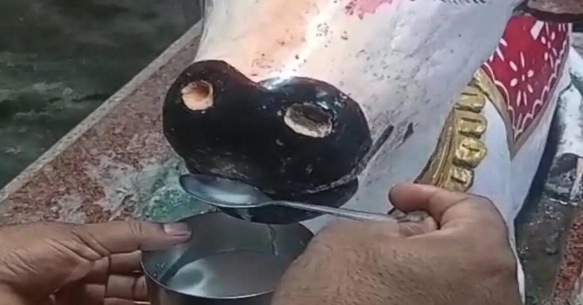 jamshedpur sawan nandi news