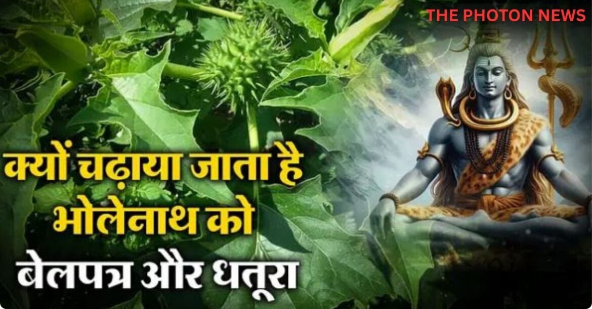 lord- shiva- loves- belpatra- lord- shiva- loves- belpatra-