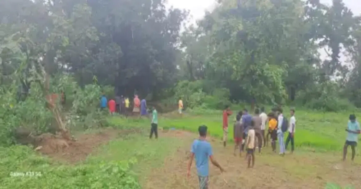 seraikela elephant seraikela elephant