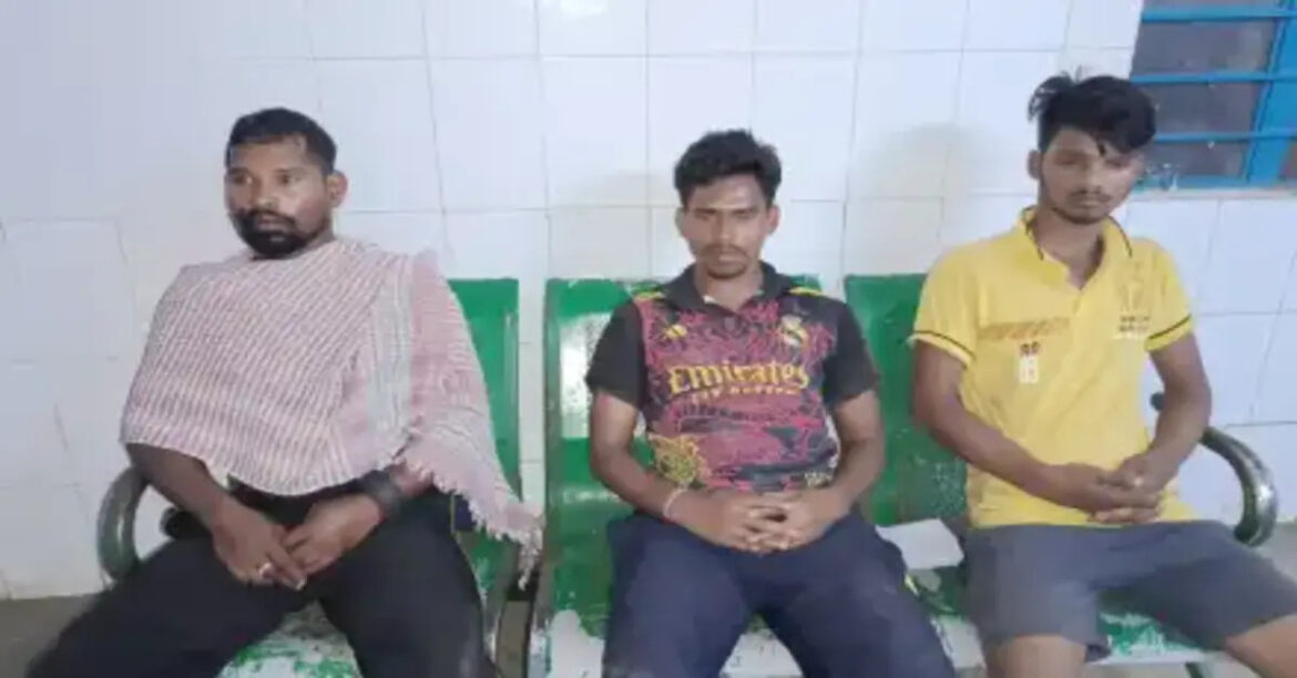 chakulia elephant attack