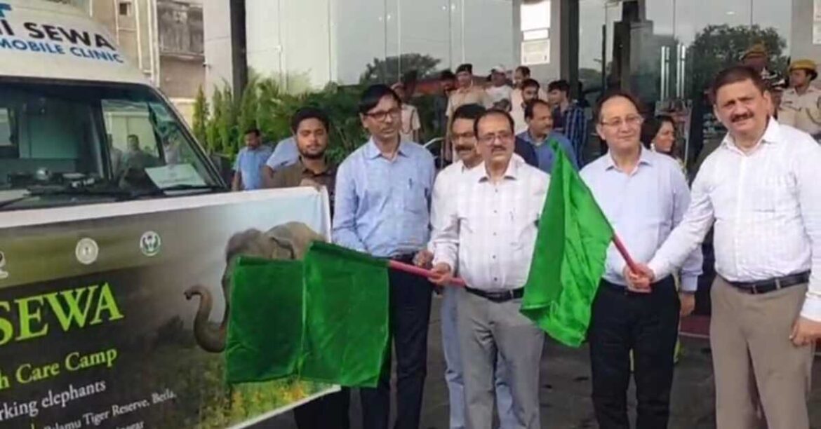 world elephant day jamshedpur