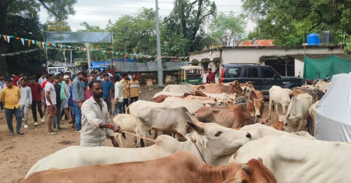 Garhwa Hindi News Garhwa Hindi News