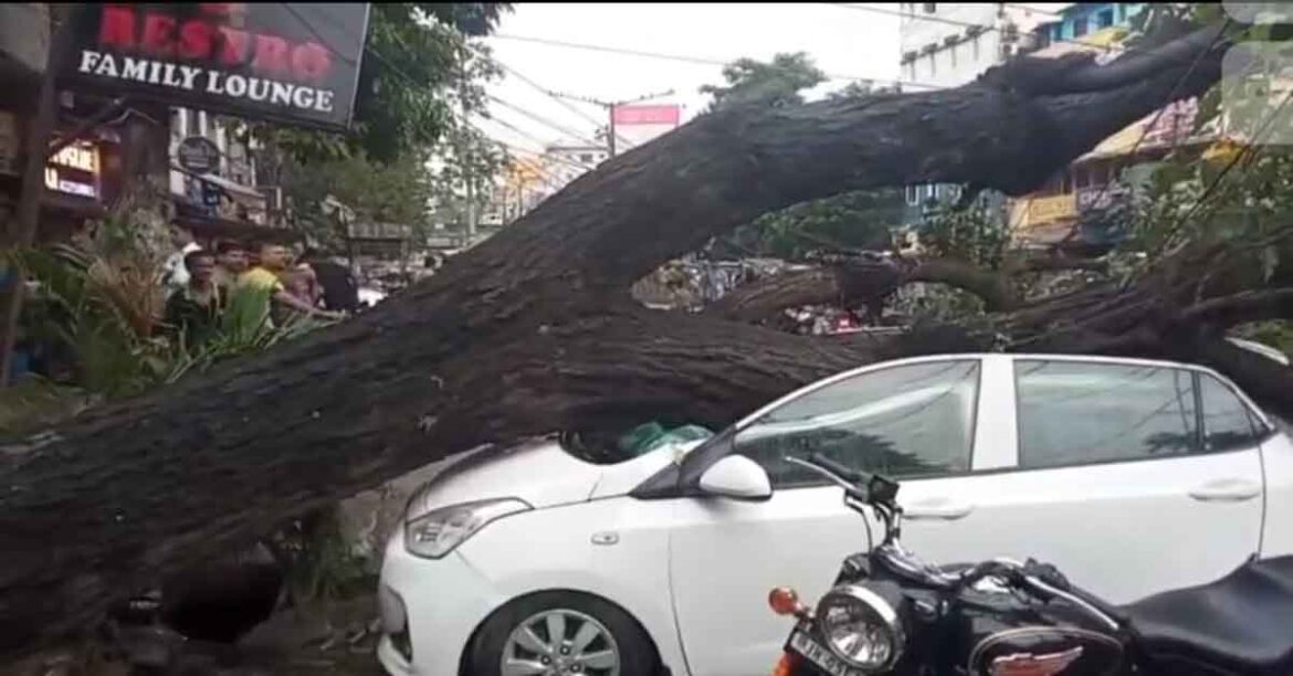 jamshedpur rain tree fall vehicle damage