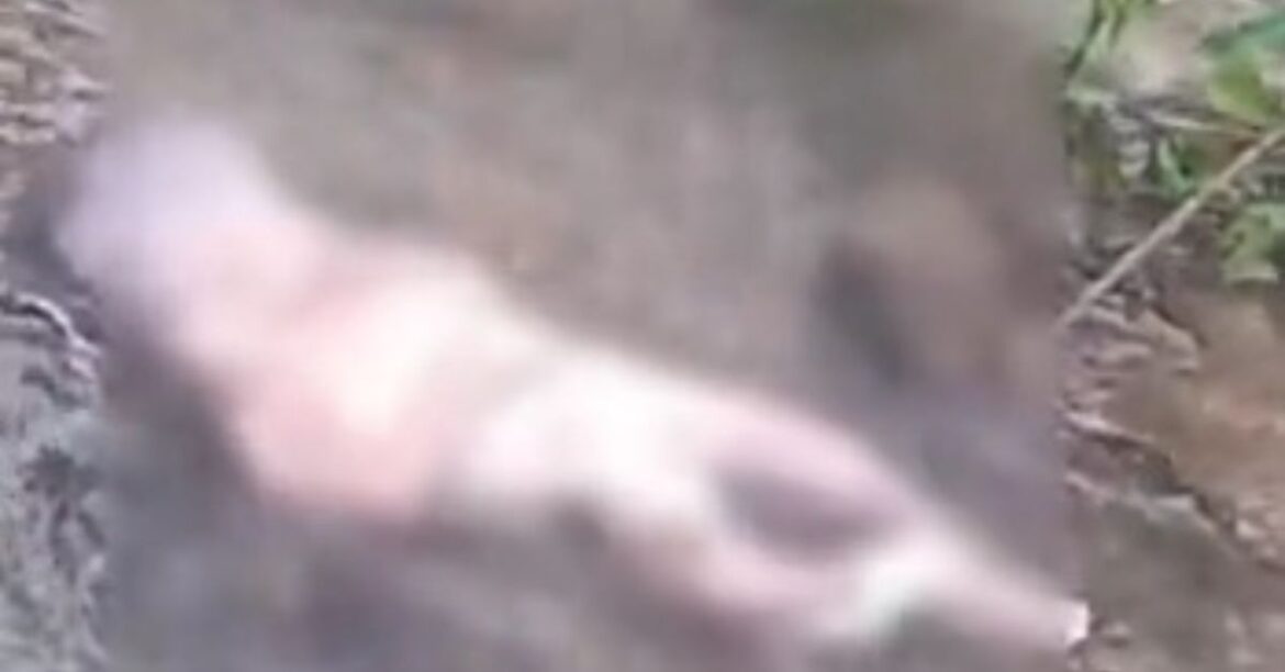 Koderma infant dead body