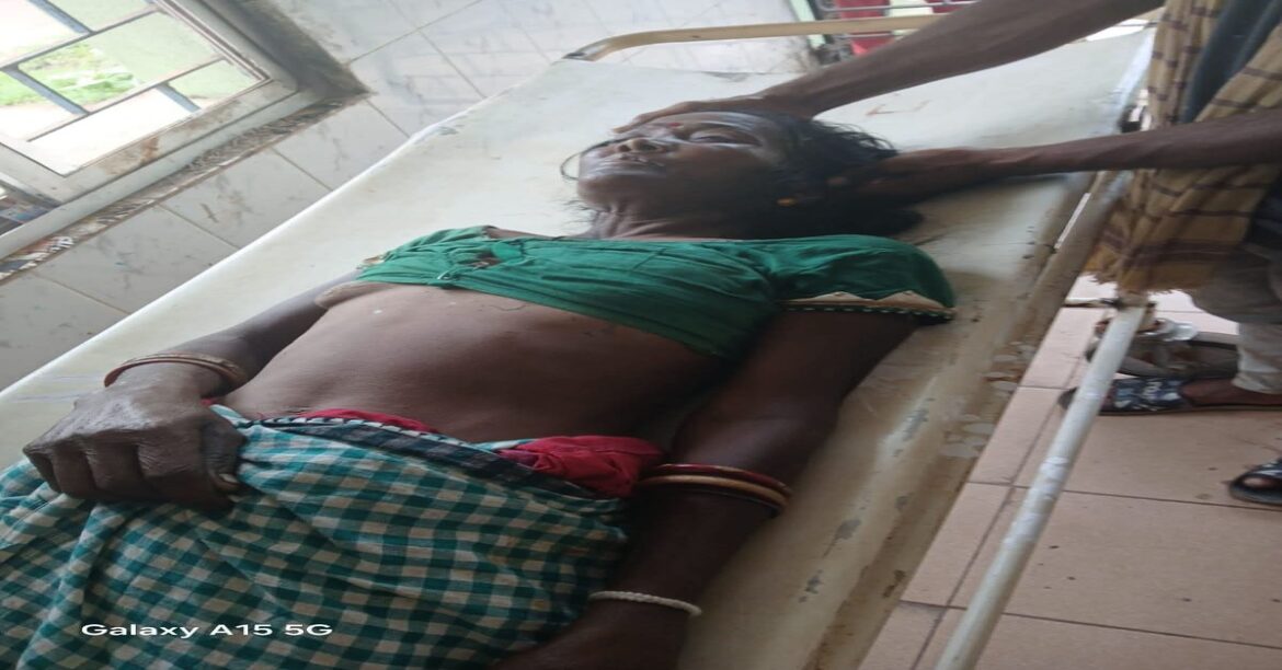 Chaibasa news woman dies snake bite