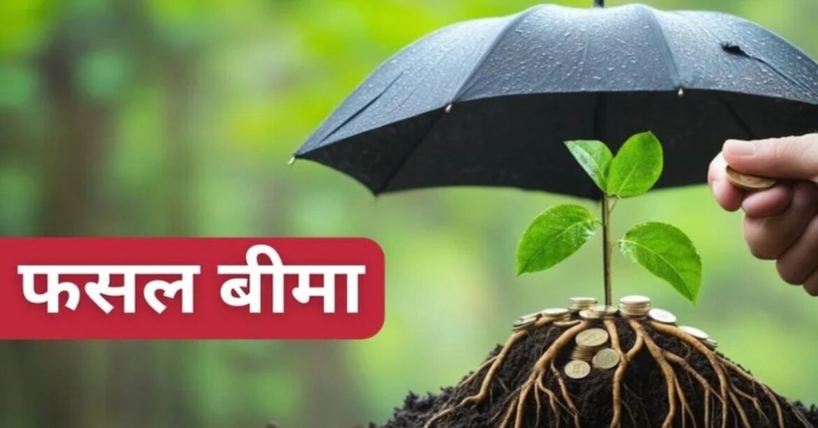 फसल बीमा
