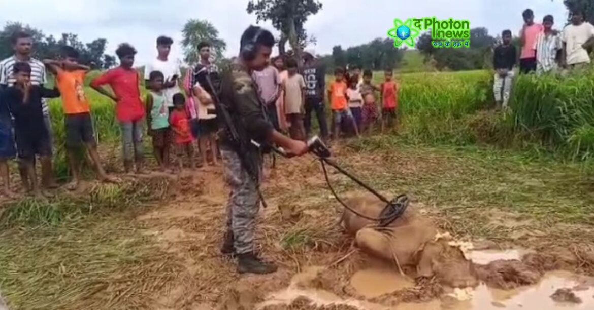 Latehar Elephant Calf Death