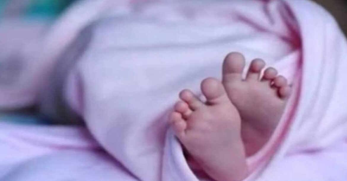 Goilkera Newborn Found