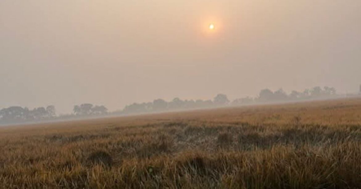 Jharkhand Cold Wave Alert