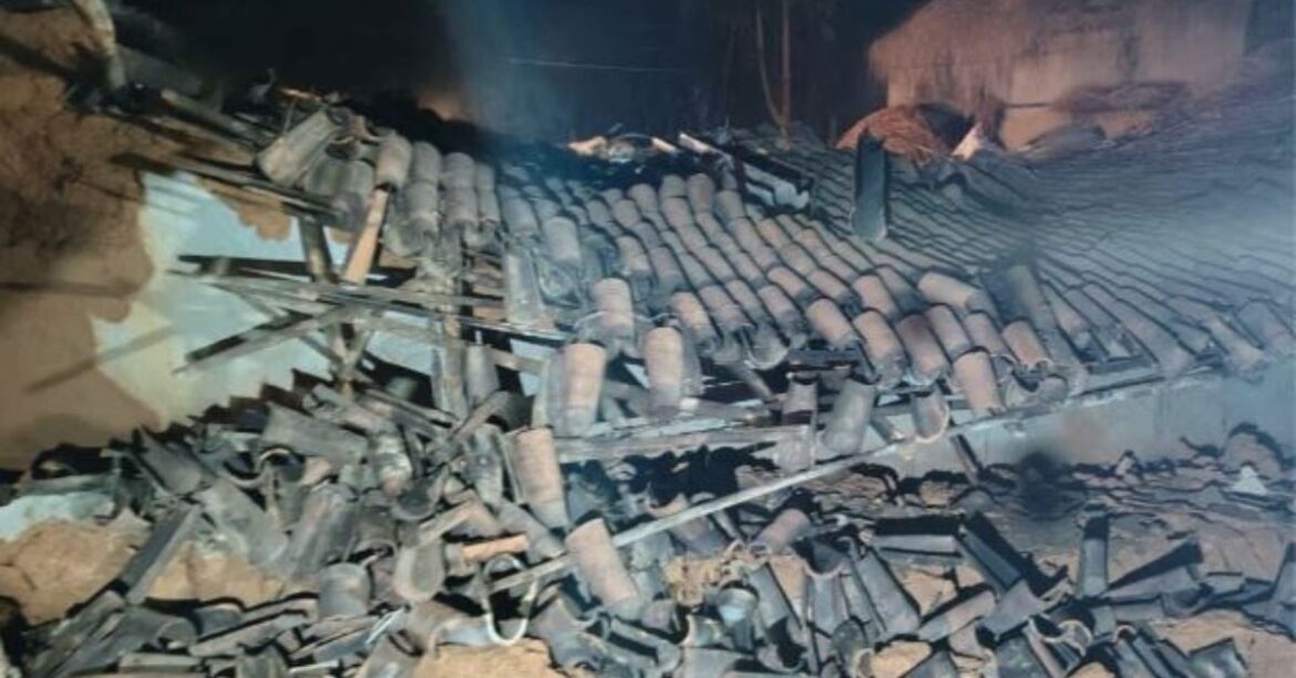 Dhanbad Elephant Attack