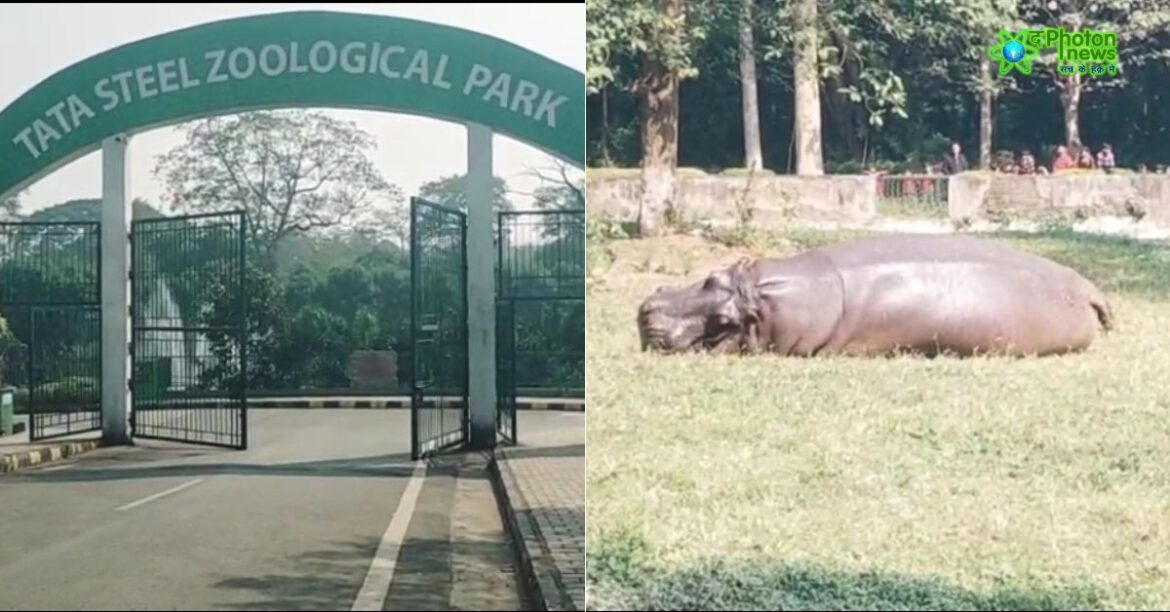 Tata Zoo Winter Protection Plan