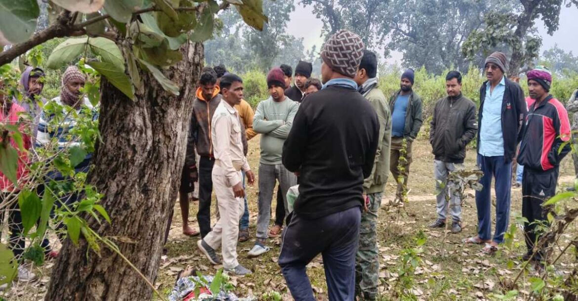 Boakro boday hanging from tree
