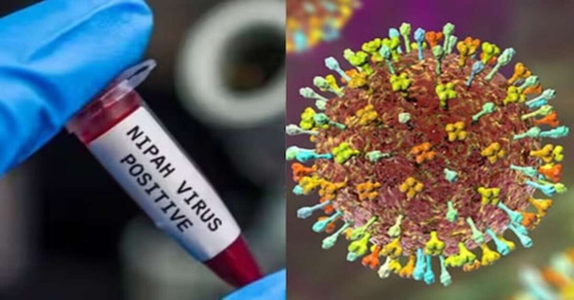 निपाह वायरस