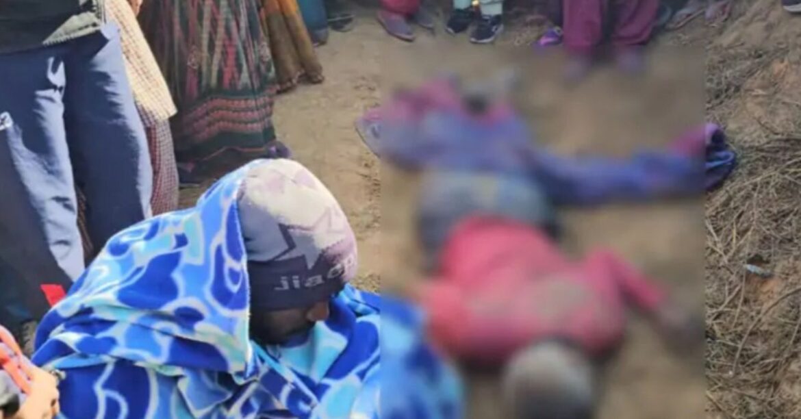 Hazaribagh Elephant Attack