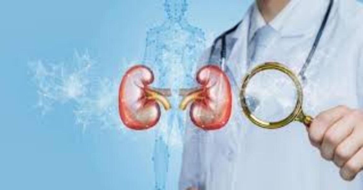 KIDNEY