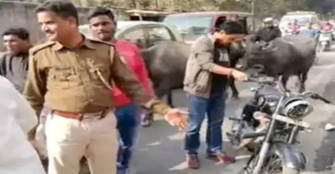 Road Accident News, Speeding Bike