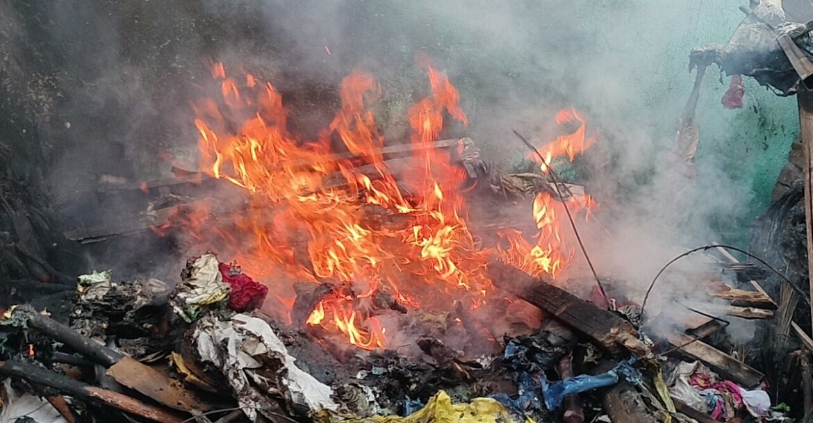 mango fire in daiguttu