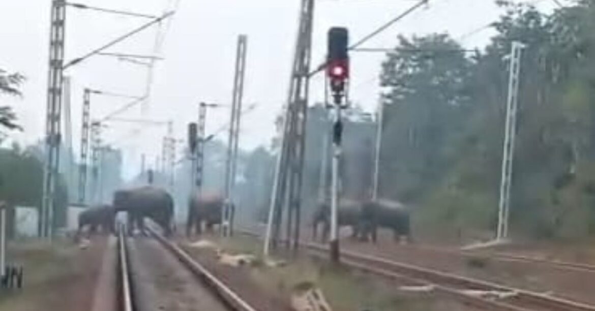 Chaibasa Dongaposi Rail Route