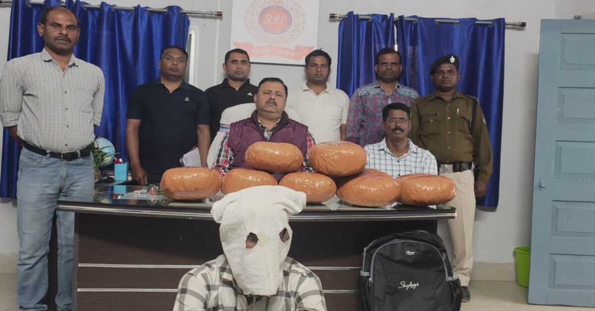 हटिया रेलवे स्टेशन पर आरपीएफ की बड़ी कार्रवाई, ऑपरेशन नार्कोस के तहत 14 किलो गांजा बरामद, एक आरोपी गिरफ्तार।