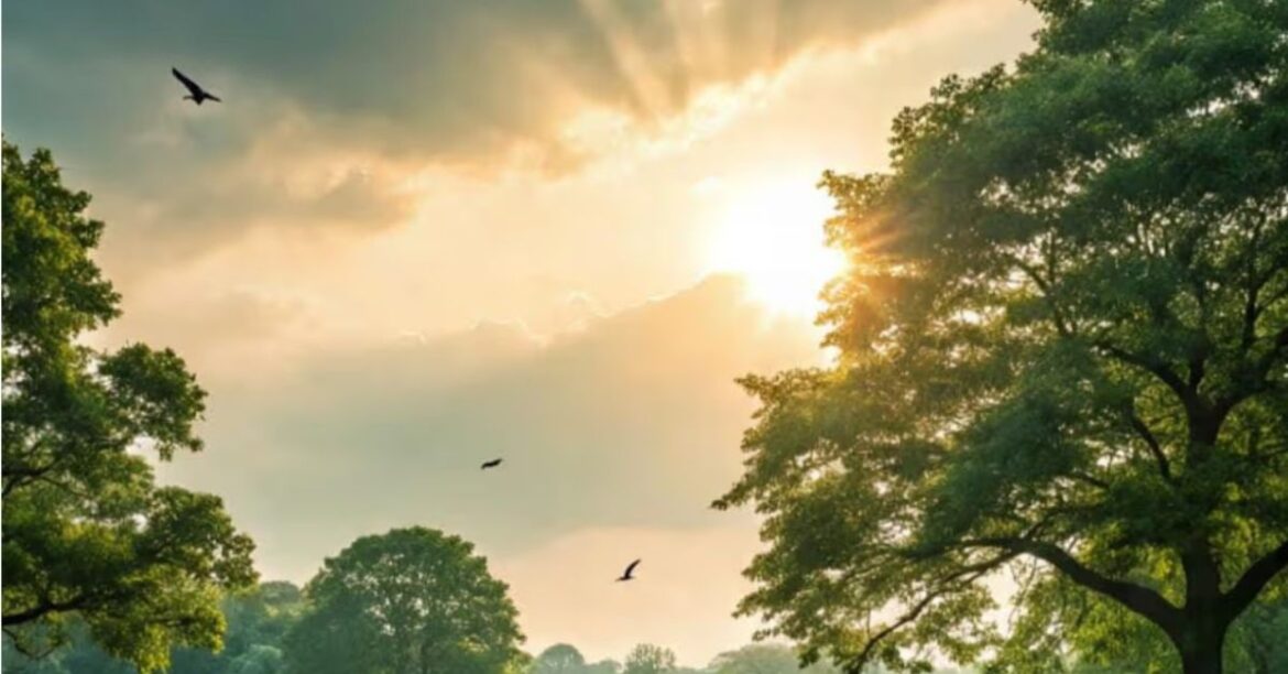 Jharkhand Weather Today