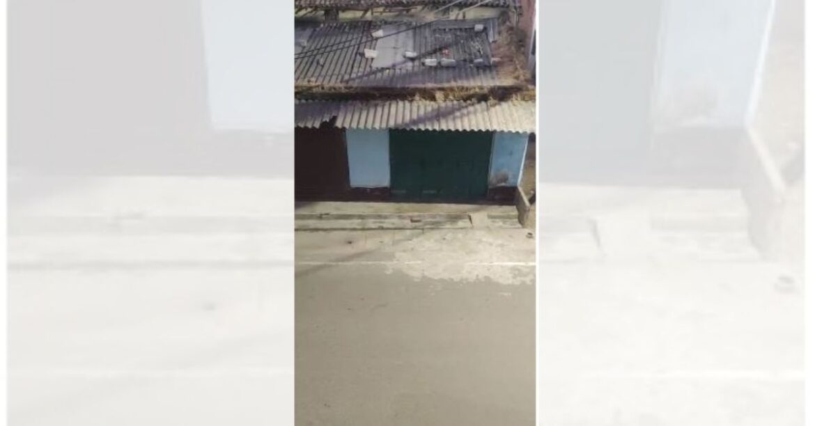 ranchi elephant news