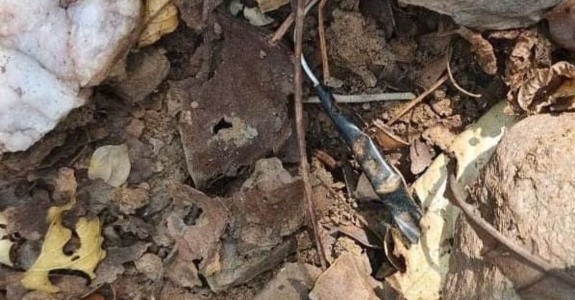 Chaibasa Naxal Operation