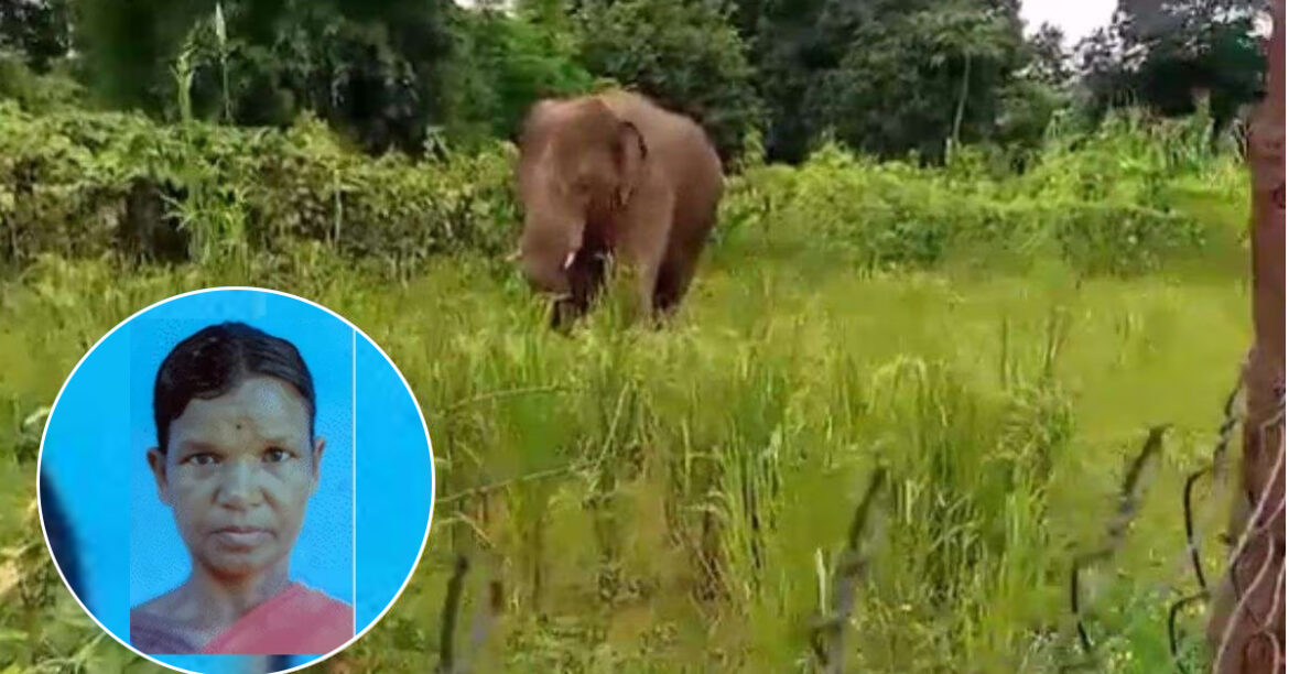 Jharkhand elephant attack death 2026