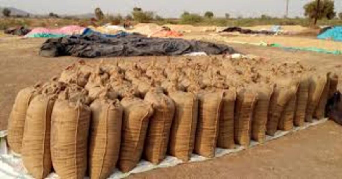 Family in Palamu selling 1420 quintal paddy at procurement center