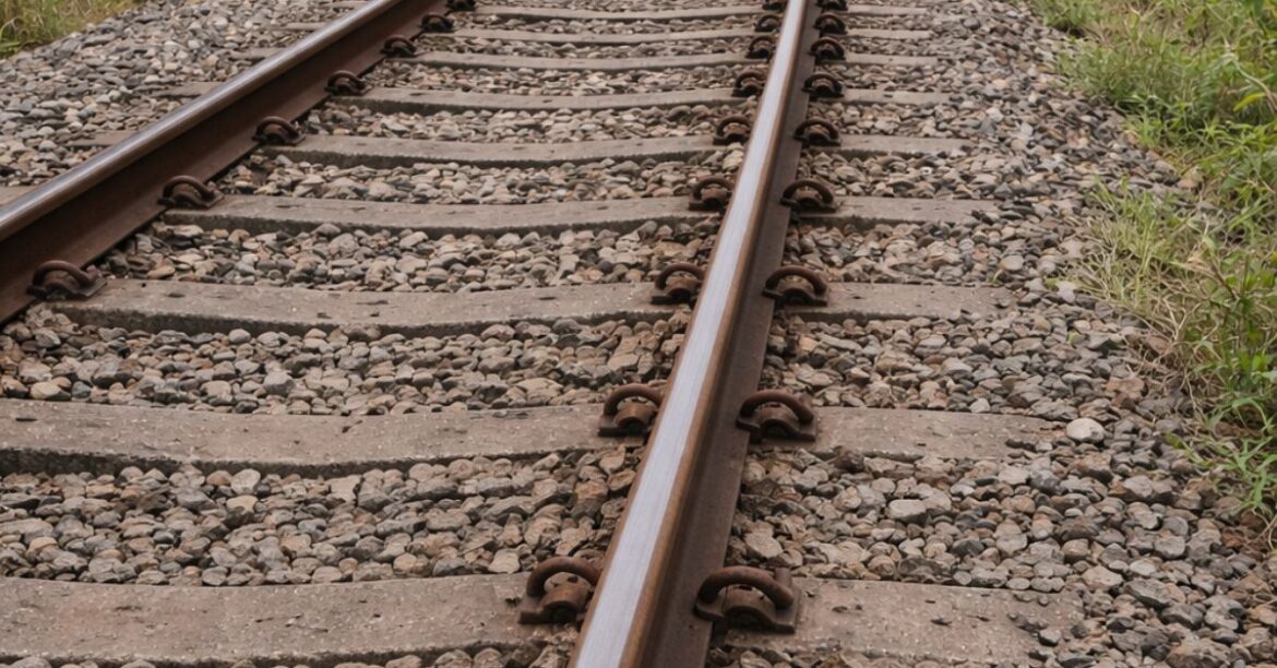 Dhalbhumgarh Railway Track Incident