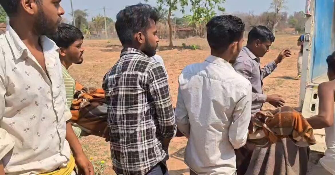 Latehar Wild Buffalo Attack